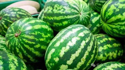 今日看料每日一瓜探花,今日看料每日一瓜背后的故事