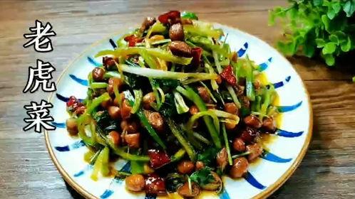 今日吃瓜老虎菜,揭秘“吃瓜老虎菜”背后的故事