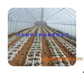 中牟大棚瓜今日价格,价格行情一览