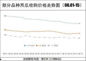 张家口今日瓜价行情走势,今日瓜价走势分析