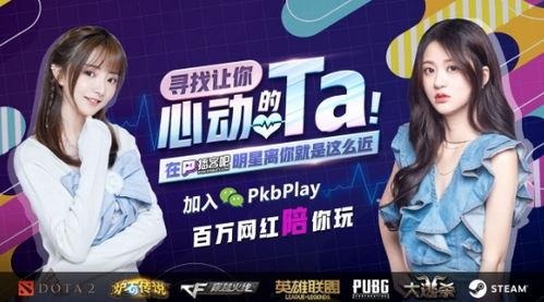 明星网红类热点新闻,揭秘幕后真相与公众舆论风暴