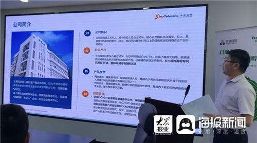 明星网红助力团队名单,共筑团队辉煌力量