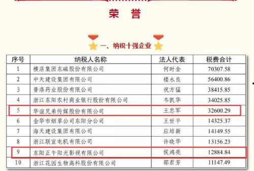 明星网红纳税额是多少,巨额收入背后的税务真相