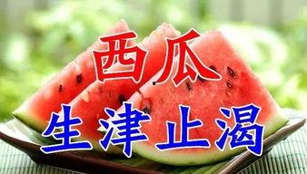 今日入伏吃3瓜3肉,三瓜三肉，健康度夏秘籍