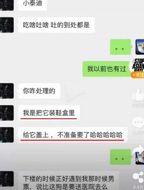 网曝吃瓜今日更新视频在线观看,今日更新精彩内容在线观看