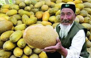 郑州万邦哈密瓜今日价位