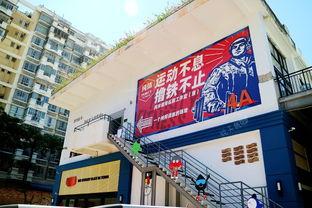 厦门启明星网红打卡,网红打卡新地标，魅力厦门新篇章