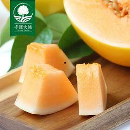 蜜瓜价格今日行情最新