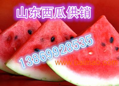 美华瓜今日价格表,今日行情一览