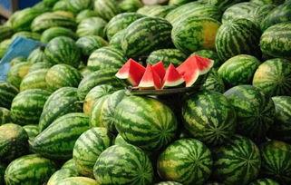美华瓜今日价格表,今日行情一览