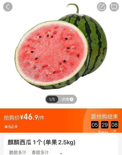 今日曲靖小瓜价格查询,今日行情一览