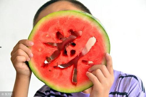 忽审今日立秋 买瓜,忽审瓜香满园