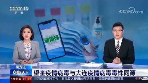 今日白瓜行情最新消息新闻,最新动态与市场分析
