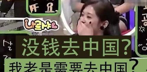 博士和明星网红的收入,揭秘高收入背后的秘密