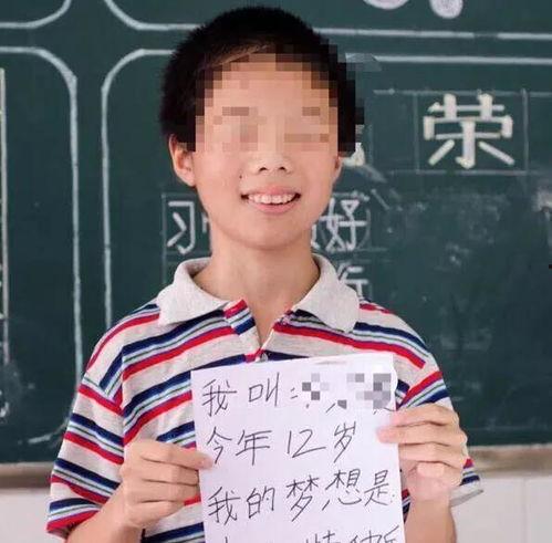 博士和明星网红的收入,揭秘高收入背后的秘密