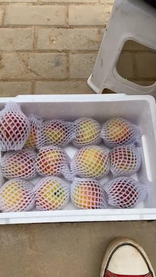 海南哈密瓜25号今日价格,价格行情一览”