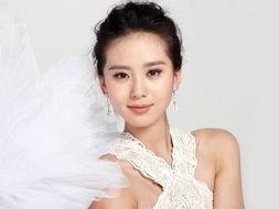 都有哪些明星网红演员名字,璀璨星河中的璀璨星辰