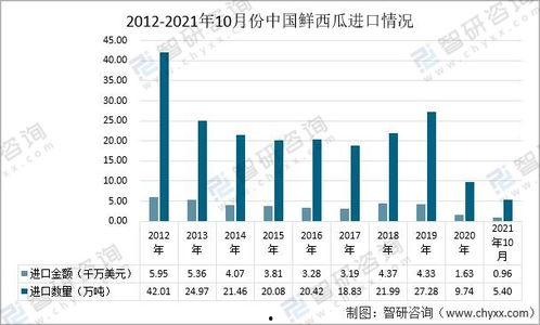 今日瓜价走势分析,今日瓜价走势深度解析