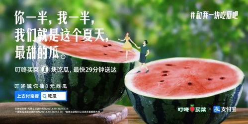 今日摘瓜文案,瓜熟蒂落，收获满满幸福时光