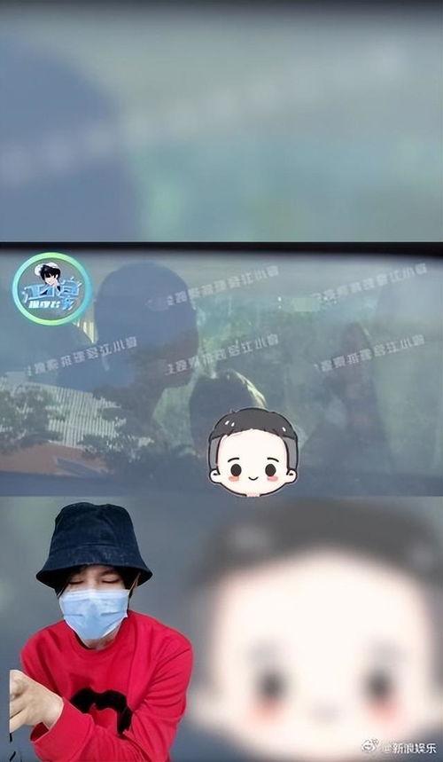 狗仔今日爆瓜图片高清,高清爆瓜图片背后的惊人真相