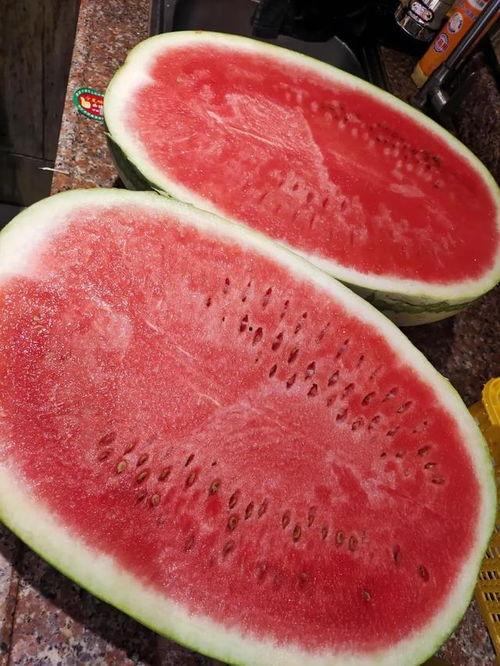 玲珑瓜今日价格行情最新,今日行情一览”