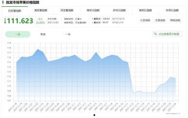 水果吊瓜今日价格走势图,波动分析及预测