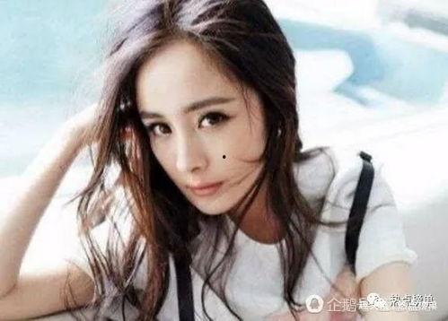 明星网红地位排名榜,揭秘网络红人影响力新格局