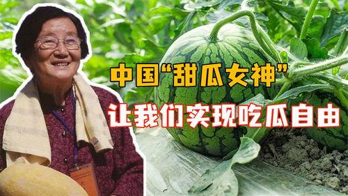 今日份吃瓜歌曲叫什么,揭秘“吃瓜歌曲”背后的故事