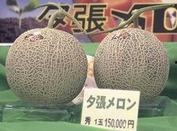江西蜜瓜价格今日行情,品质佳、价格稳，消费者抢购热潮持续