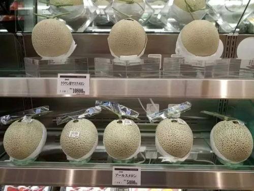 江西蜜瓜价格今日行情,品质佳、价格稳，消费者抢购热潮持续