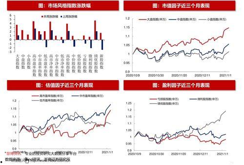 网纹瓜今日价格走势,今日走势解析