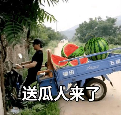 今日文案吃瓜有感,揭秘娱乐圈背后的故事