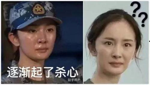明星网红表情包图片搞笑,搞笑瞬间尽收眼底