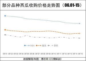 今日瓜干价格行情走势