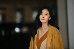 明星网红抱团是谁啊,背后的利益与关系网