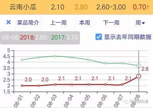 今日小瓜价位走势分析图,今日走势图深度解析