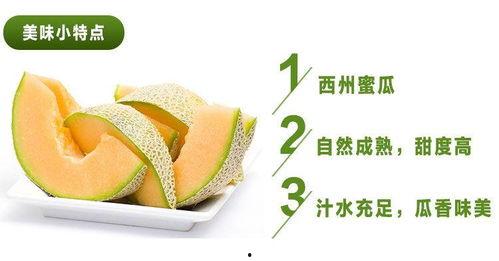 今日哈密瓜多少一斤,每斤XX元，品质佳选不容错过