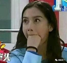 明星网红算什么身份的人,闪耀舞台的璀璨人生