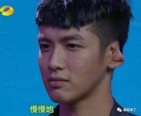 明星网红算什么身份的人,闪耀舞台的璀璨人生