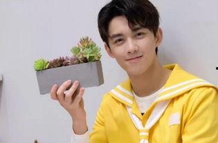 小男明星网红有哪些,盘点当红小男明星网红风采