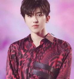 小男明星网红有哪些,盘点当红小男明星网红风采