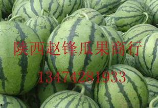 哈密瓜价格今日价 郑州,品质与价格的完美融合”