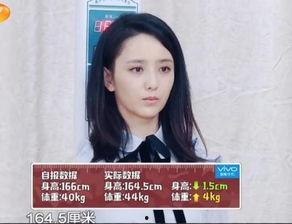 明星网红真实收入多少