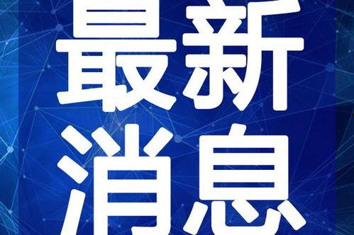 明星网红收麦子最新视频,展现丰收喜悦瞬间