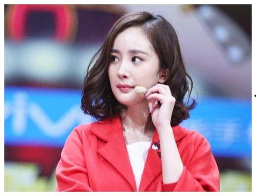 明星网红的节目都有哪些,热门内容与精彩瞬间