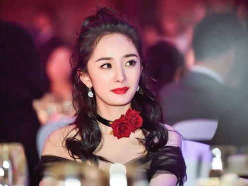 明星网红的节目都有哪些,热门内容与精彩瞬间