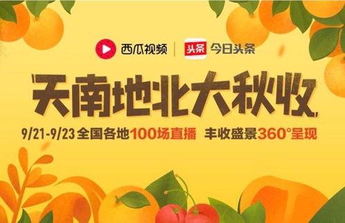 今日头条大瓜,揭秘娱乐圈最新猛料，明星隐私曝光！