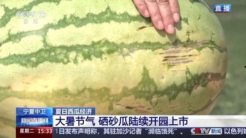 今日头条大瓜,揭秘娱乐圈最新猛料，明星隐私曝光！