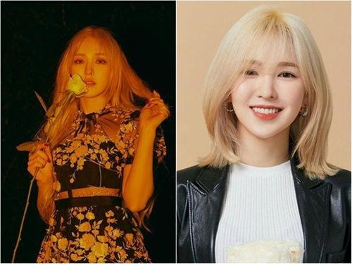 明星网红骨折视频大全集,明星网红骨折视频大全集回顾