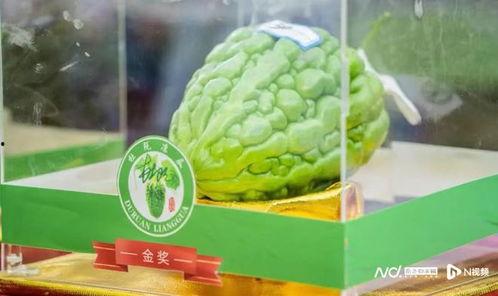 杜阮凉瓜今日价格